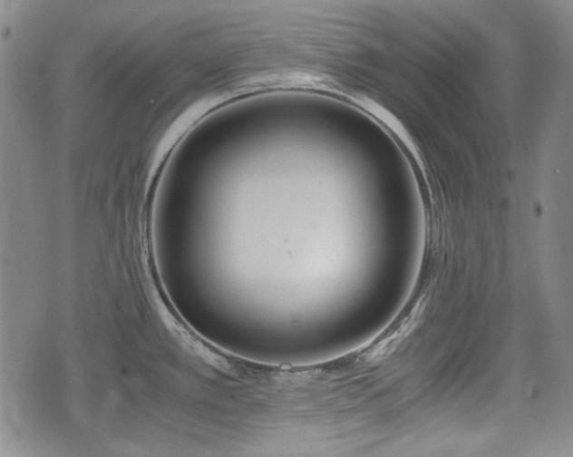 X0000073451389200608041017