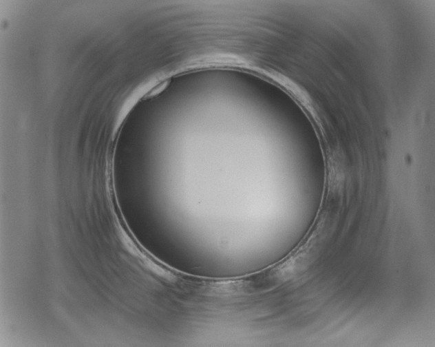 X0000073451390200608041017