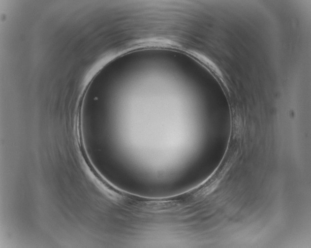 X0000073451391200608041017