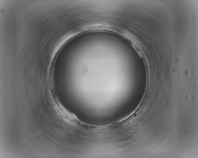 X0000073451392200608041016