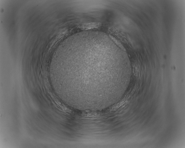 X0000073451393200608041016