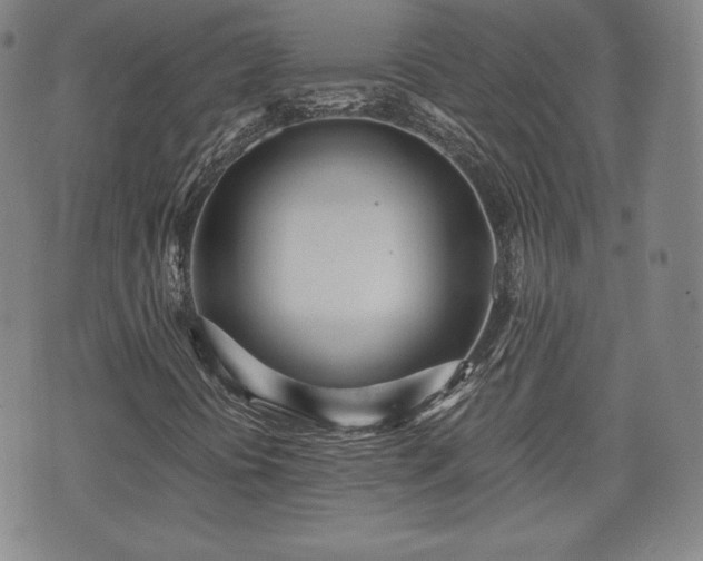 X0000073451394200608041016