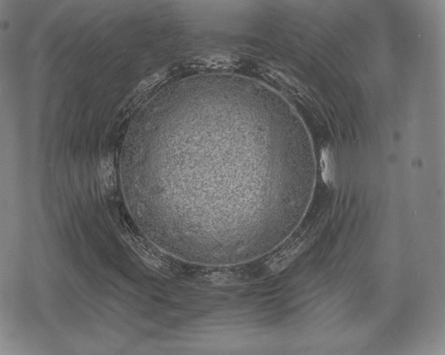 X0000073451395200608041016