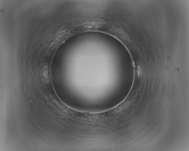 X0000073451396200608041016