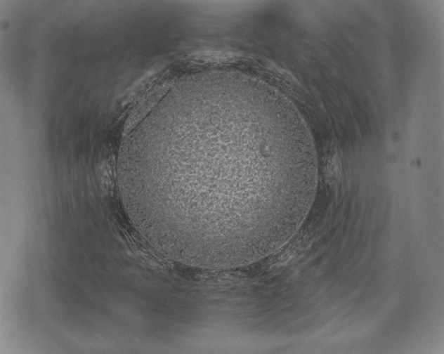 X0000073451397200608041016