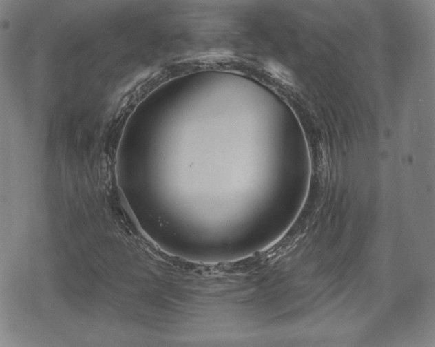 X0000073451398200608041016