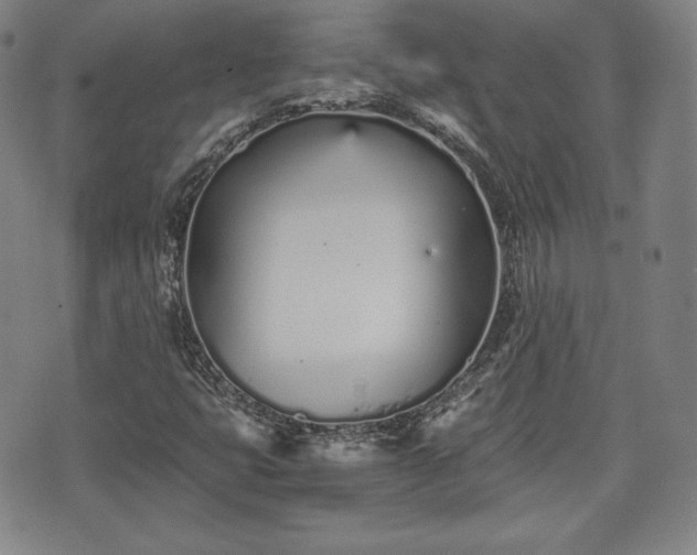 X0000073451399200608041016