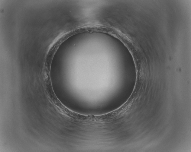 X0000073451400200608041016