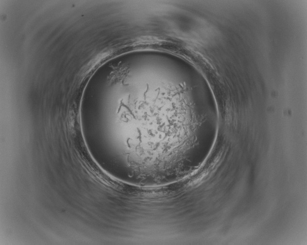 X0000073451401200608041016