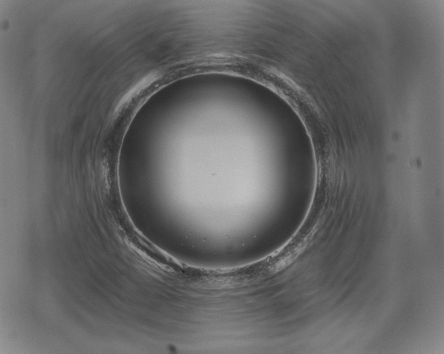 X0000073451402200608041016