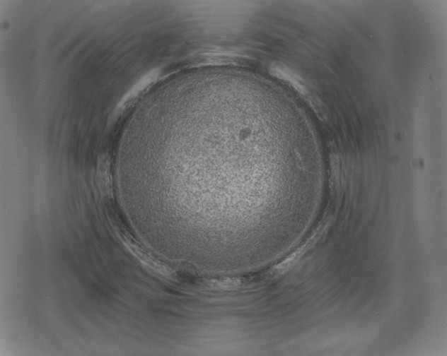 X0000073451403200608041016