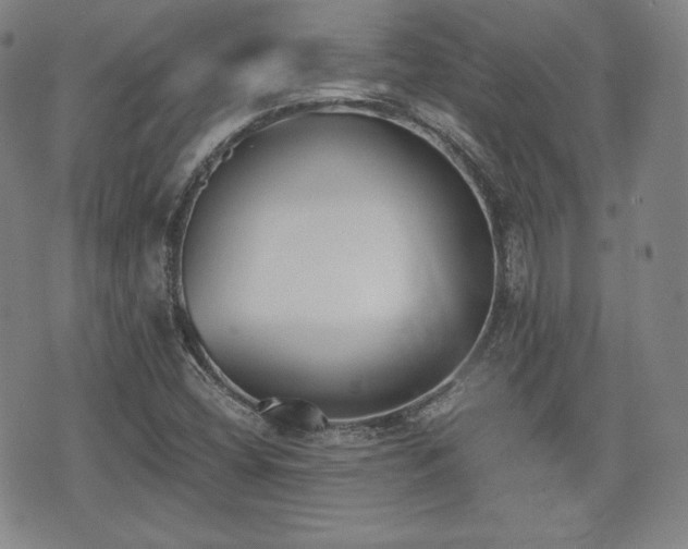 X0000073451404200608041016