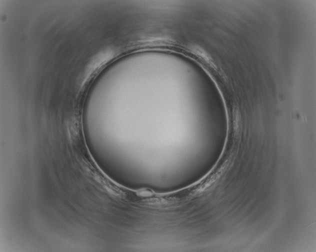 X0000073451405200608041016