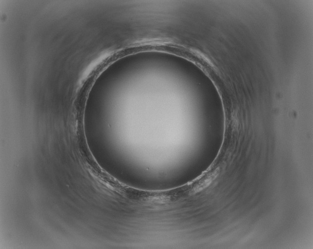 X0000073451406200608041016