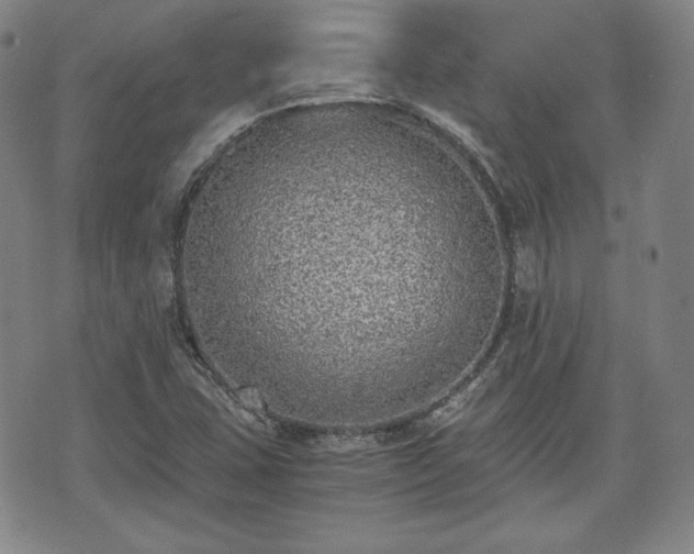 X0000073451407200608041016