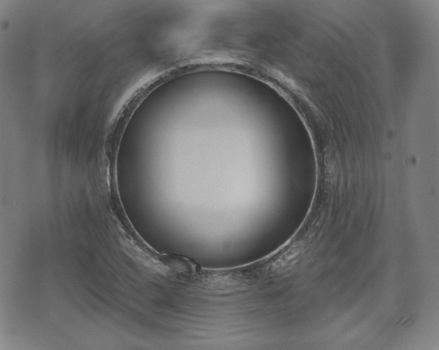 X0000073451408200608041016