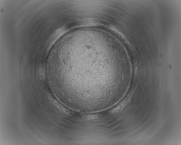 X0000073451409200608041016