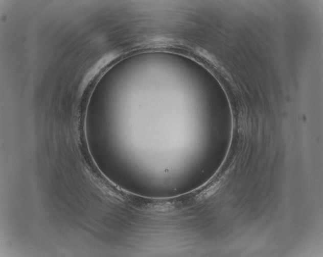 X0000073451410200608041016