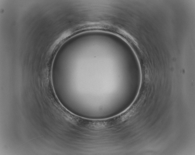 X0000073451411200608041016