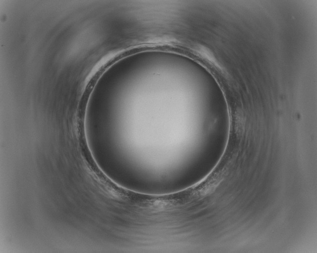 X0000073451412200608041016