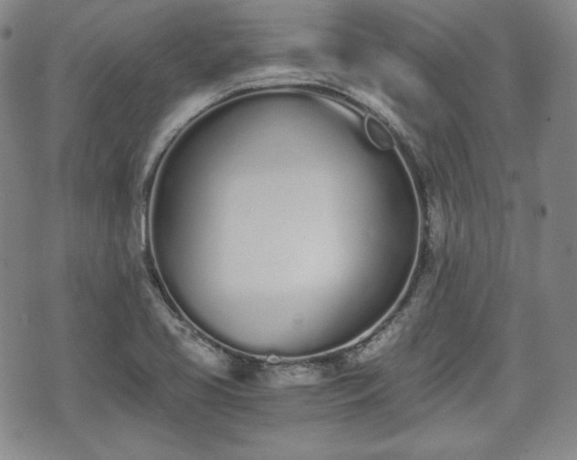 X0000073451413200608041016