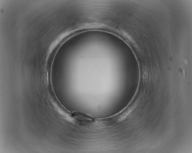 X0000073451414200608041016