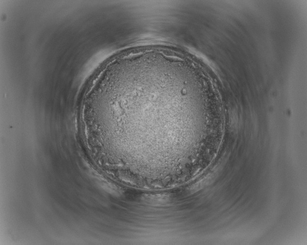 X0000073451415200608041016