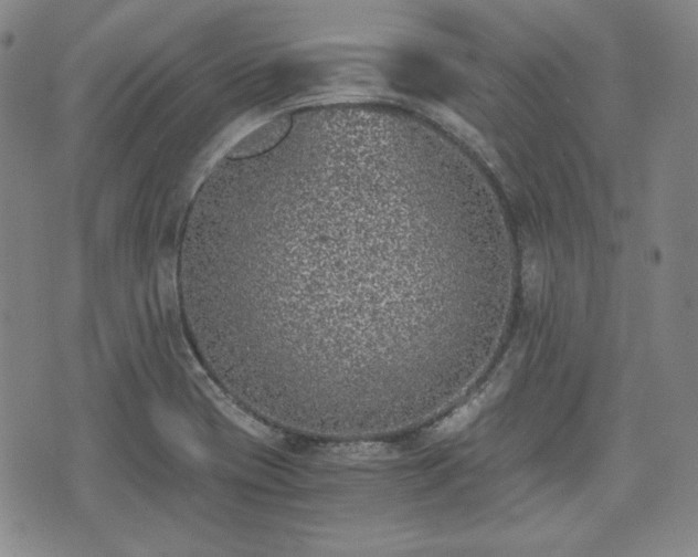 X0000073451417200608041016