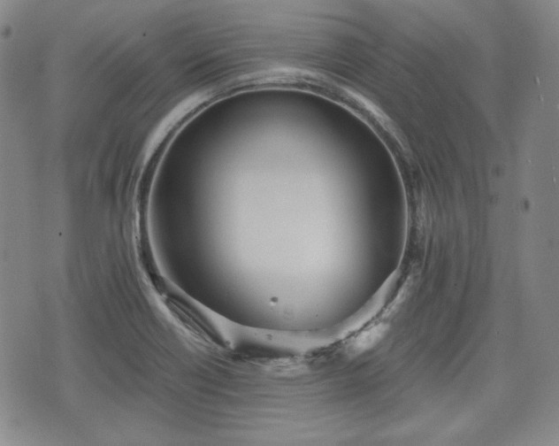 X0000073451418200608041016