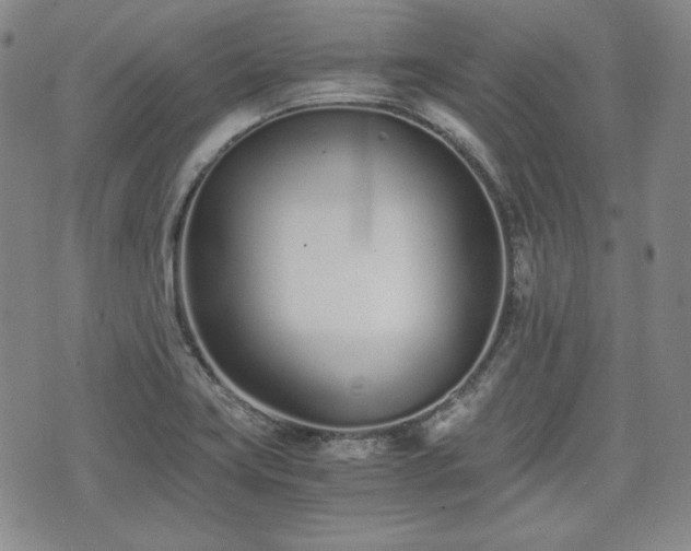 X0000073451419200608041016