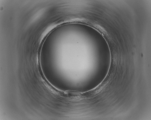 X0000073451420200608041016