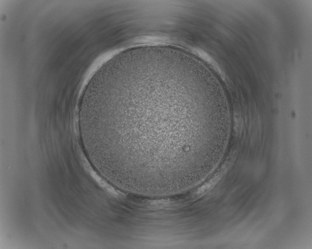 X0000073451421200608041016