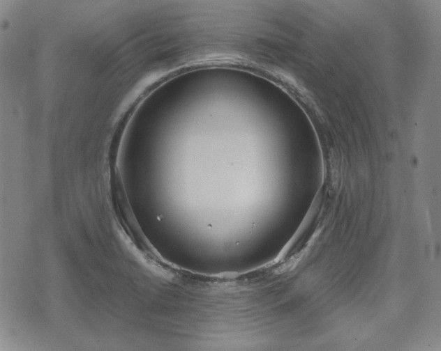 X0000073451422200608041016