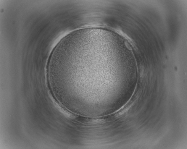 X0000073451423200608041016