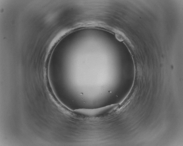 X0000073451424200608041016