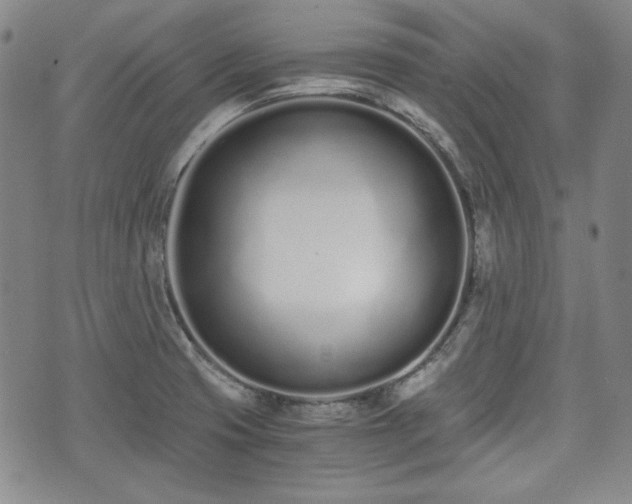 X0000073451425200608041016