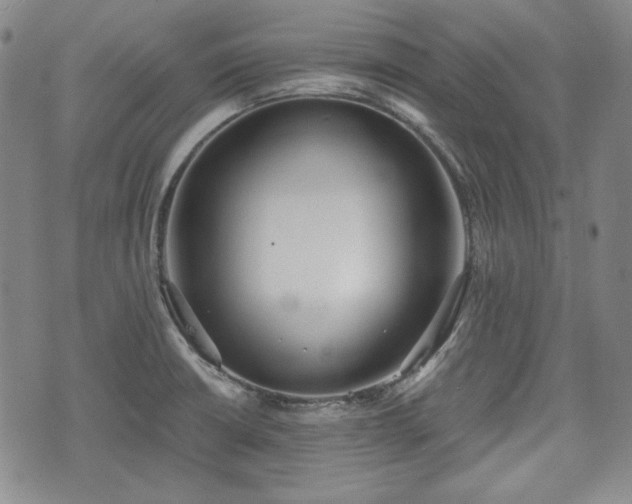 X0000073451426200608041016