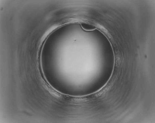 X0000073451427200608041016