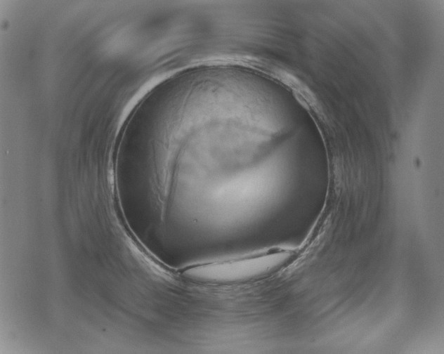 X0000073451428200608041016