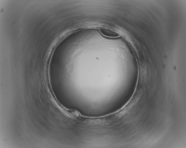 X0000073451429200608041016