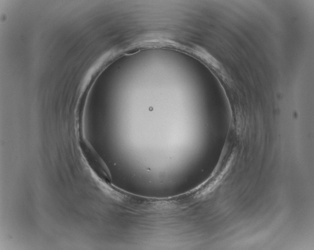 X0000073451430200608041016