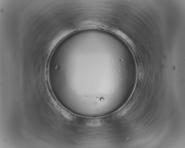 X0000073451431200608041016