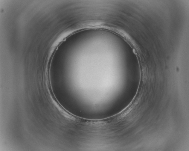 X0000073451432200608041016