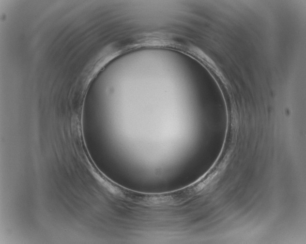 X0000073451433200608041016