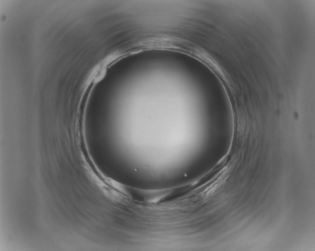 X0000073451434200608041016