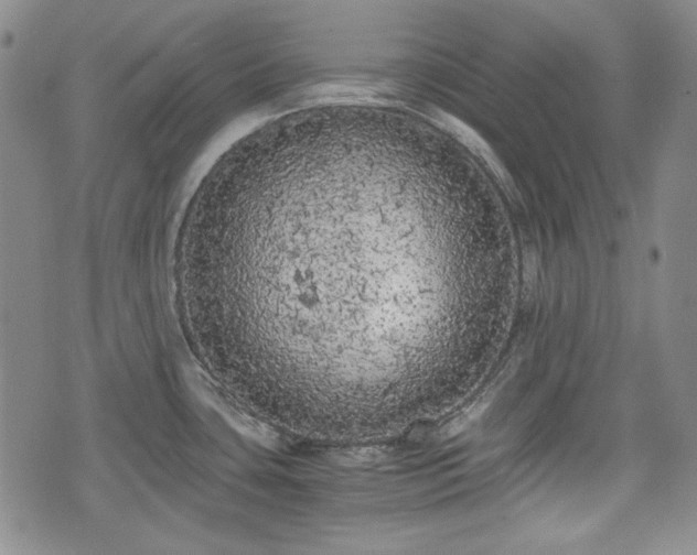 X0000073451435200608041016