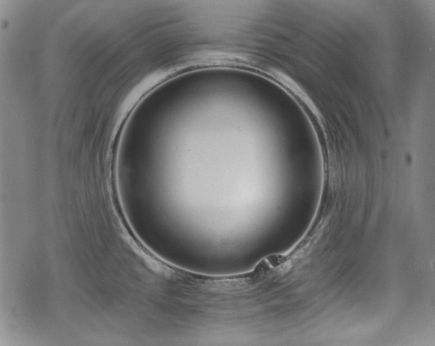 X0000073451437200608041016