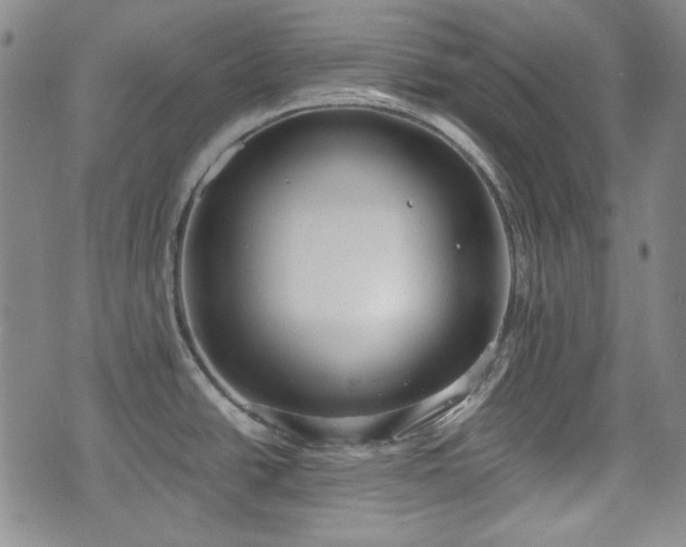 X0000073451438200608041016