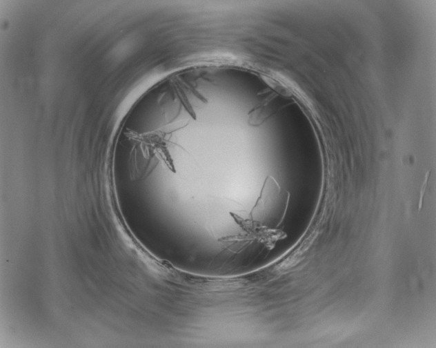 X0000073451440200608041016