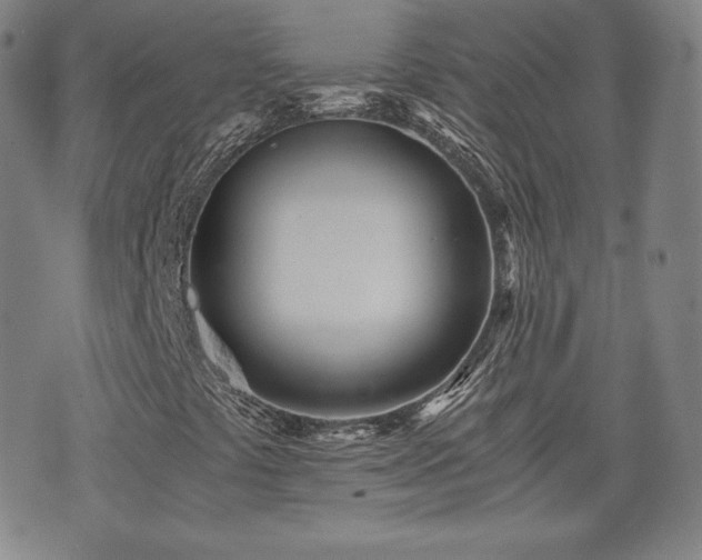 X0000073451441200608041016